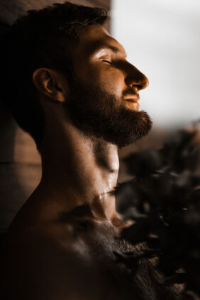 dsc04297-1 mees saunas vihaga